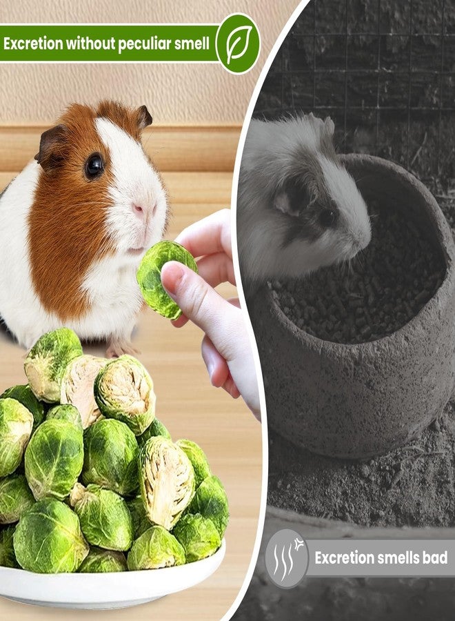 Tyotrbs Freeze Dried Brussels Sprouts Rabbit and Hamster Chew Treats Resealable Jar for Hamsters Bunny Guinea Pigs Groundhogs Natural Fiber Vitamin Snacks Hamsters, Chinchillas (M/ 2.12oz) - Image 3